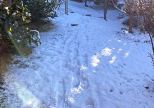 【夢日記】自動車学校