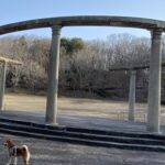 【夢日記】松ちゃんの息子？