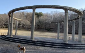 【夢日記】松ちゃんの息子?