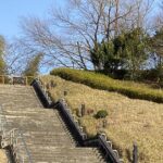 【夢日記】千鳥の大悟と道徳の授業