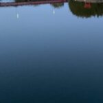 【夢日記】吉高由里子と武田真治と博多華丸が老人みたい