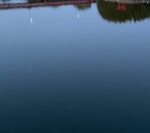 【夢日記】吉高由里子と武田真治と博多華丸が老人みたい