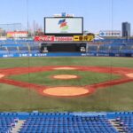 【夢日記】神宮球場で野球が見れない