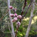 【夢日記】目覚める前の典型的な夢か暗喩か?