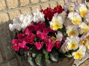 【夢日記】受験中にブログ禁止