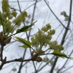 【夢日記】探し物が見つからない