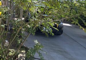 【夢日記】アウディからベンツへ、いやコーヒーへ