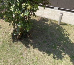 【夢日記】未完成の家