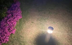 【夢日記】JAVAの案件