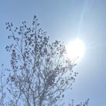 【夢日記】地位を放り出しベトナムへ逃げる