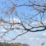 夢と現実の境目