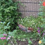 【夢日記】外から見えない動画コンテンツ