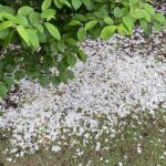 【夢日記】戦争か抗争か、スリムクラブ真栄田をぶっ叩く(笑)
