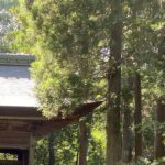 【夢日記】巨人の槇原を結婚式に呼ぶ