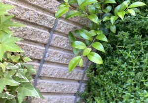 【夢日記】アンガールズ田中が漫画家だった