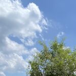 新しい監視社会