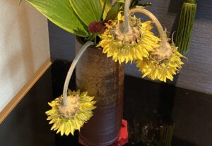 【夢日記】夢から何か新しいことをしろという母と、それを禁じる父