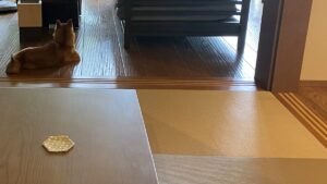 【夢日記】新しいやり方と古いやり方