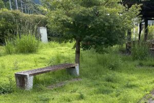 【夢日記】長編の物語