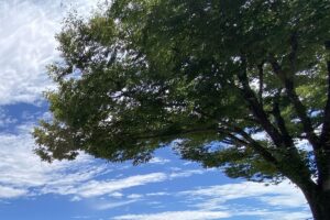 【夢日記】システムによる自動化失敗