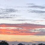 【夢日記】七色に輝くあざらしのオブジェを妻への土産として……