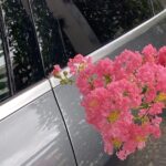 【夢日記】孤独な生き方