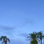 【夢日記】波止場の星3つのお店