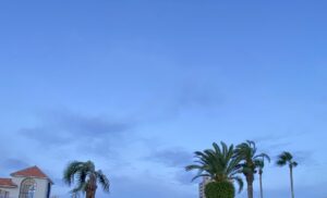 【夢日記】波止場の星3つのお店