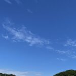 【夢日記】結婚式の準備で必要なものを作る妻