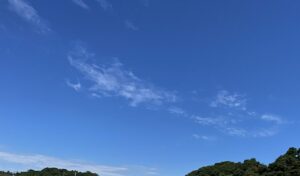 【夢日記】結婚式の準備で必要なものを作る妻