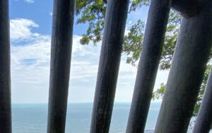 【夢日記】能登で地震の夢とWEBデザイン