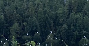 【夢日記】謎の工場と謎の学参