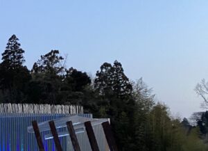 【夢日記】妻は中世欧州の服飾デザイナー