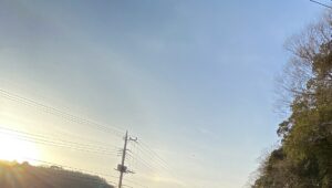 【夢日記】中国人マフィアの男女