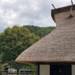 【夢日記】東大寺へタイムスリップ