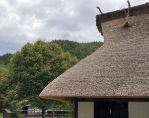 【夢日記】東大寺へタイムスリップ