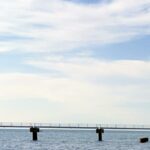 【夢日記】デザイナーズハウスでポケベルをいじる女