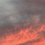 【夢日記】通勤時間の長い医師