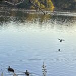 【夢日記】天国のような木更津