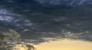 【夢日記】飼い犬を羨ましがる長嶋茂雄