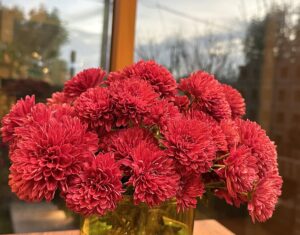 【夢日記】都内の北の方で仕事先の人に会う