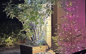 【夢日記】テーマ―パーク帰りに終電に乗り遅れる