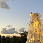 【夢日記】病気とお迎え