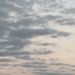 【夢日記】失礼なやつ