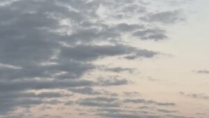 【夢日記】失礼なやつ