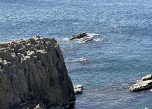 【夢日記】怒りと後悔の船着き場