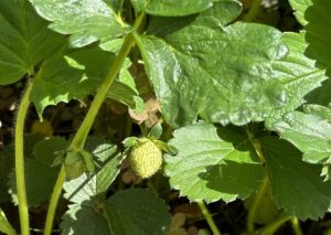 【夢日記】空の目玉と迷路ホテル
