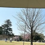 【夢日記】ヤクルト村上とジオングと島田紳助
