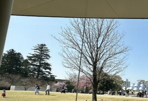 【夢日記】ヤクルト村上とジオングと島田紳助