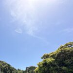 【夢日記】理想の家